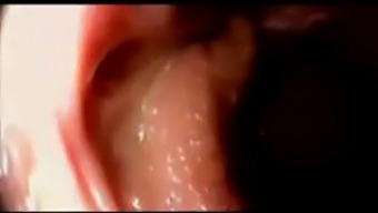 Intense Close-Up Of Multiple Vaginal Penetrations And Ejaculation