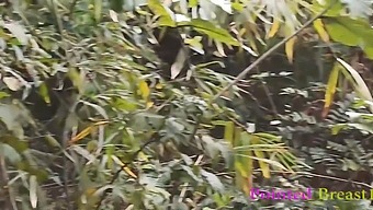 A Wild Encounter In The Countryside As A Passionate Ex-Boyfriend Has Intense Sex With A Local Girl, Leading To An Explosive Climax